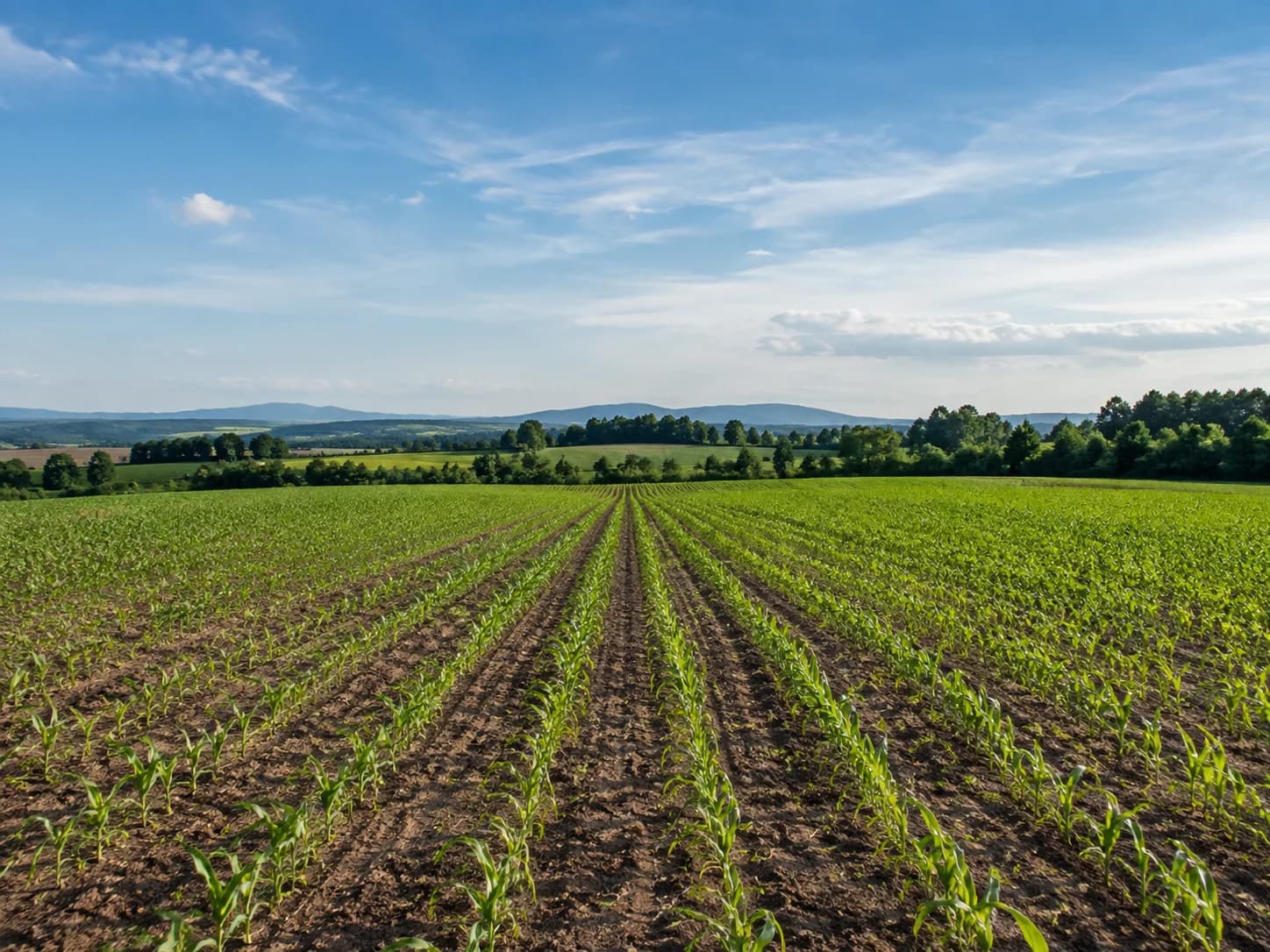 Terreno agricolo in vendita a Prata di Pordenone