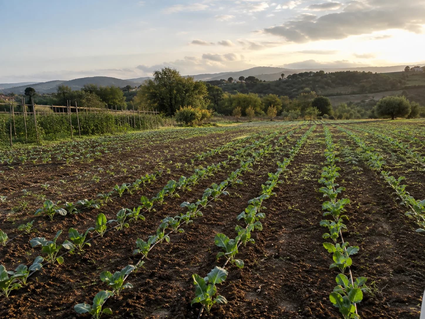Terreno agricolo in vendita a Prata di Pordenone