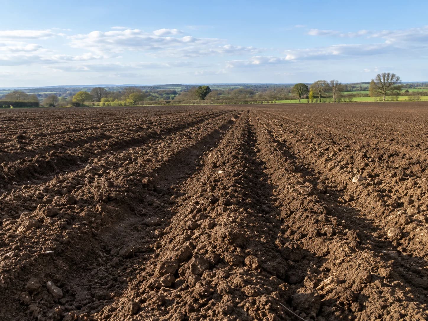 Terreno agricolo in vendita in Via Peressine